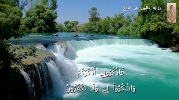 ربع سيقول السفهاء برواية قالون عن نافع رحمهما الله