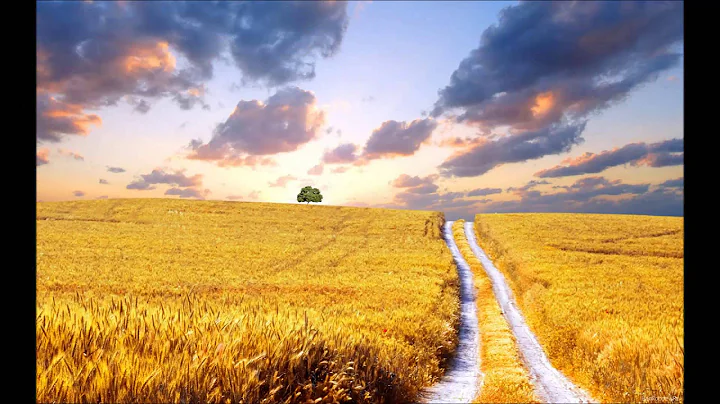 'Fields of Gold' by Michelle Baird Wedding Music