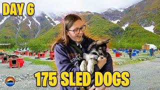 Worth A Visit: Juneau DOG SLED SUMMER CAMP | Quantum Of The Seas 2023 | Royal Caribbean Alaska Vlog6