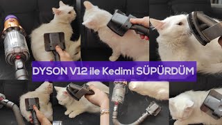 YouTube de ilk ve tek video!💪😎 Dyson ile Kedi Süpürme Videosu Çektim🧿