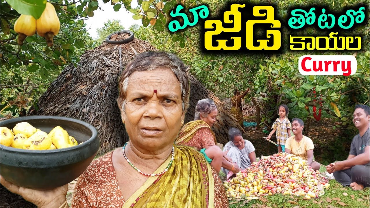 కొండపోడు జీడితోట| జీడికాయల కూర 
