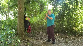 Bushcraft em Bosque Paulista ASMR #4