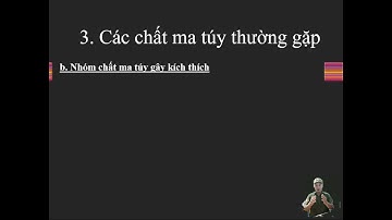 #8b các chất ma túy thường gặp