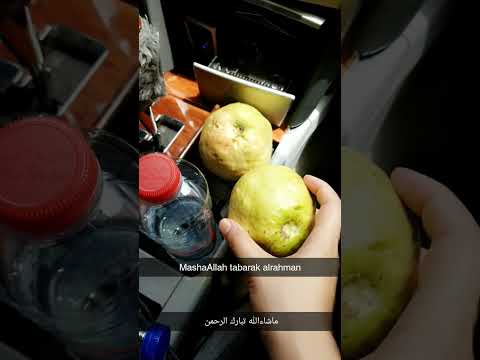   فاكهة الجوافة         