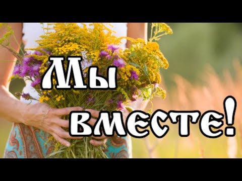 Доброе утро! Мы вместе! Желаю мира и добра! Открытка для друзей