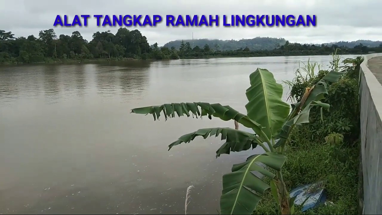 Alat tangkap Ramah Lingkungan yg  ada  di rumah  saya YouTube