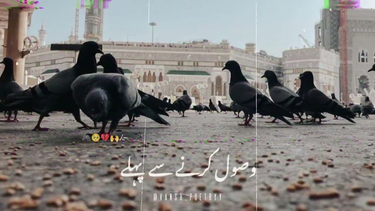 Poetry Video ❤️‍🩹🕋🕊️ || Long Video |Best_Lines_Status_video__vansh_poetryy__|| Urdu poetry 