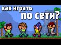 Как играть по сети Terraria/Minecraft в 2022