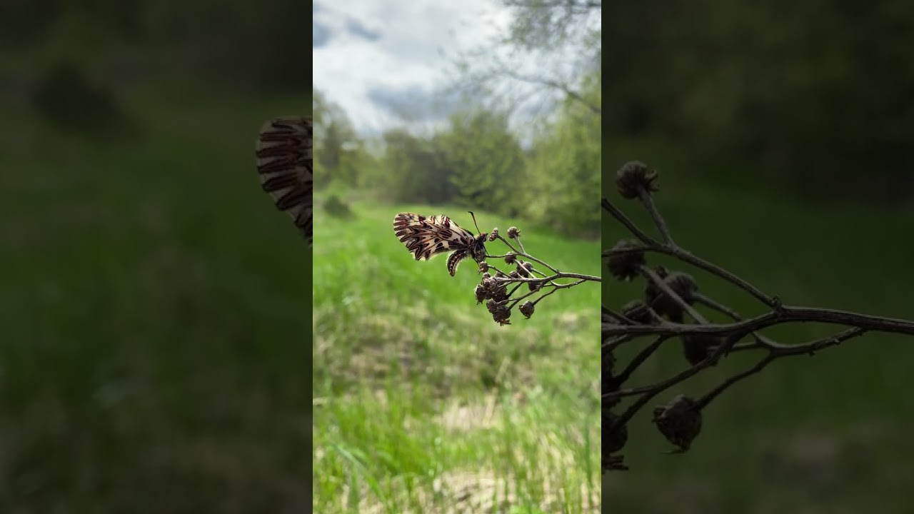 Вернулся из похода. Эта весна суровая, но одновременно особенная.  