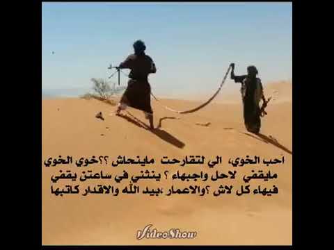 يالعنبوها بنادق بس العرضه 