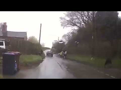 Pony spooked after driver fails to slow down on country lane