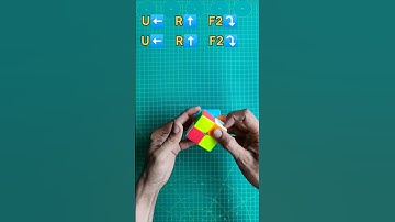 Anaconda Pattern 2x2 Rubik