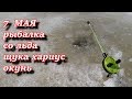 7 мая рыбалка со льда. хариус щука окунь