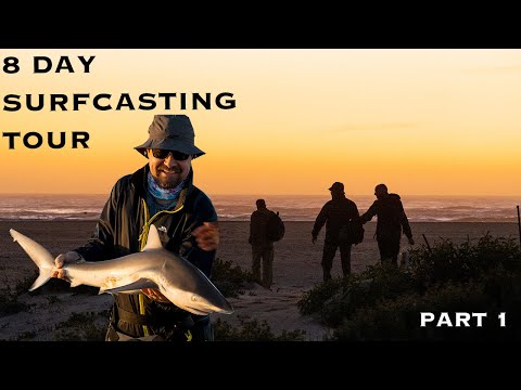 UK group Surfcasting South Africa for 8 days!! BIG sharks from shore // Duvan Fishing Charters