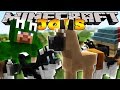 Minecraft Jobs - BECOMING A DOG TRAINER! (Custom Roleplay)