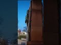Памятник оружейному конструктору Сергею Ивановичу Мосину #trendingvideo #shortsvideo