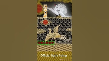 清朝官员 文职 Civil Service Official Order Pattern of Qing Dynasty