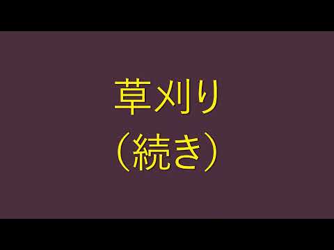 【園芸】草刈り②   なかなか終わらない(-_-;)