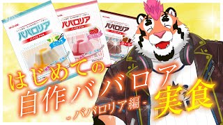 【夢を叶える】自作のババロアを食べるぞ！ 【DNG総長】