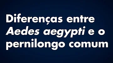 Tem pernilongo parecido com mosquito da dengue?