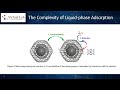 VIRTUAL LAB VLOG SERIES: First Principle Simulations for the Removal of Heavy Metal Ions from Water