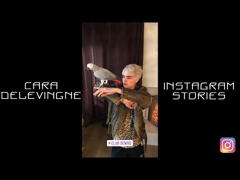 Cara Delevingne | Instagram Stories | 27-31 March 2018