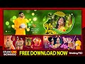 STUDIO LINE INDIA || BENGALI PSD FREE DOWNLOAD || CODE NO - SLBA1016 || 12X36 Album PSD
