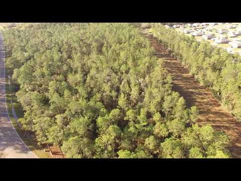 16 Acres 14085 Lamey Bridge Road, D'Iberville, MS home video tour