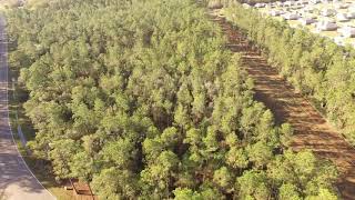 16 Acres 14085 Lamey Bridge Road video tour