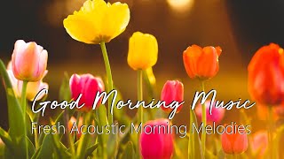 Morning Melodies: Your Daily Dose of Fresh Acoustic Inspiration | Good Morning Music by Magic Footprints 1,617 views 1 year ago 1 hour, 8 minutes