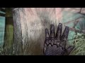 Batman #arkhamasylum Scarecrow nightmare 3