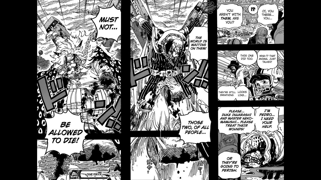 One Piece Scan 810 Vf