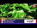 ಅನ್ನದಾತ | Guide To Sericulture In Karnataka | Feb 6, 2019