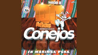 Video thumbnail of "Internacionales Conejos - Chapicumbias 2: Ritmos y Palmeras / Cobanerita / Concepción Tutuapa / La Tempestad"