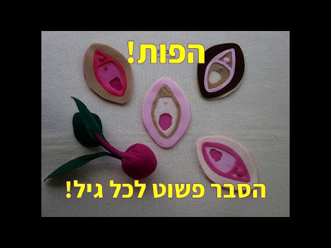 וִידֵאוֹ: מהו המין הנשי של הבעלים?