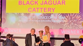 Pet Awards 11.11.23 by BlackJaguar-Maine Coon Ireland 193 views 4 months ago 1 minute, 41 seconds