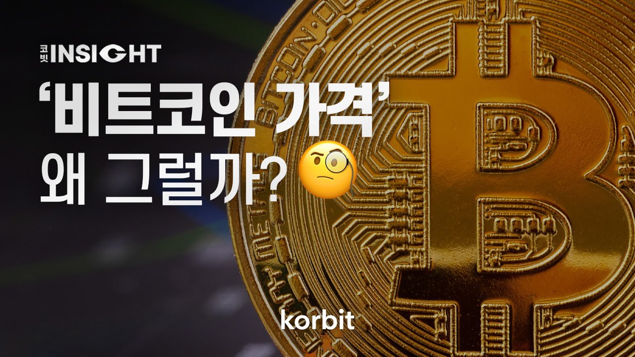 비트코인 가격, 왜 그럴까? 🧐
