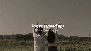 тоқта (speed up) - айқын төлепберген