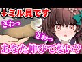 ミル貝をいかがわしい方法で起こそうとし放送事故になるVtuber www【Vtuber/切り抜き】