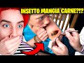 L'HANNO TROVATO NEL SUO BRACCIO E..
