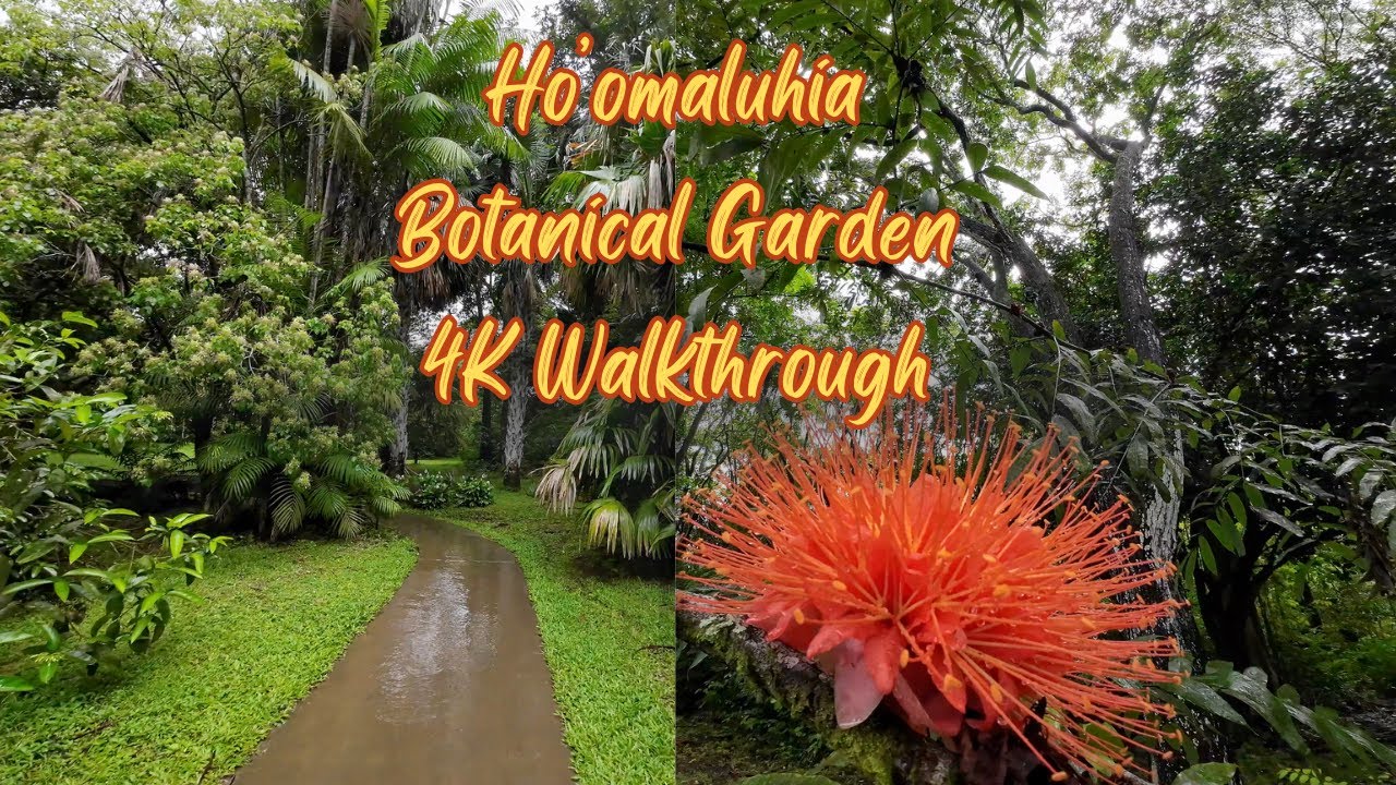 The Most Peaceful Place on Earth? 🌿 Ho’omaluhia Garden 4K