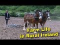 Life on the Farm in Rural Ireland - Videos of Irish Farming Life