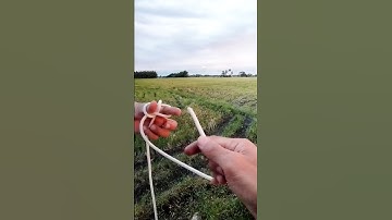 Zeppelin Loop is the most trusted knot for live carrying load! Fast and smooth technique 👌