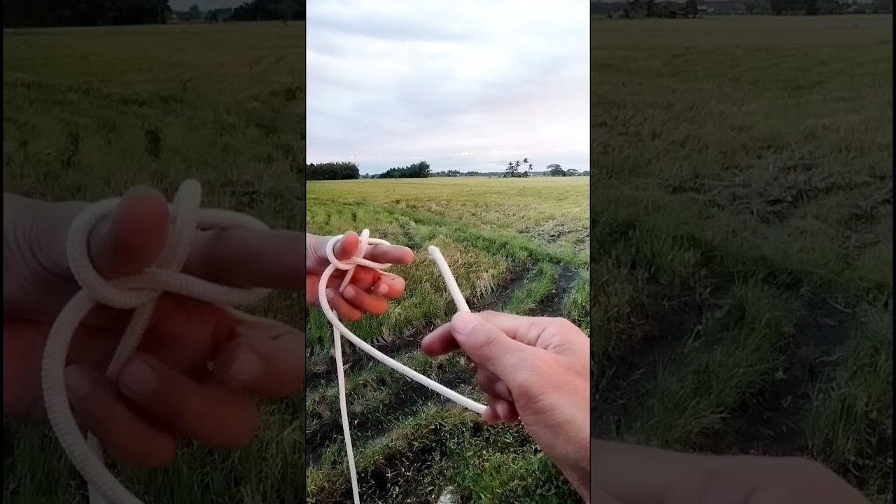 Zeppelin Loop is the most trusted knot for live carrying load! Fast and smooth technique 👌