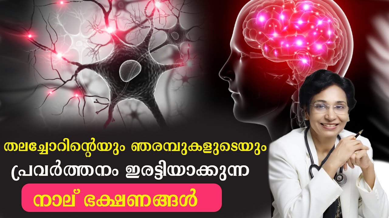 തലച്ചോറിന്റെയും ഞരമ്പുകളുടെയും പ്രവർത്തനം ഇരട്ടിയാക്കുന്ന നാല് ഭക്ഷണങ്ങൾ /Dr Jolly Thomson