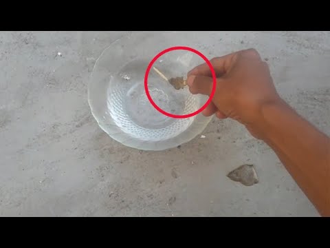 Video: Apakah muk luk menggunakan bulu asli?