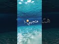 روعه اغنيه انا قلت لأبويا عليكي روعه اغنيه انا قلت لأبويا عليكي