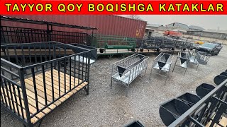 Kochma QOY KATAKLARNI ENG ARZON  +998 91-040-60-18