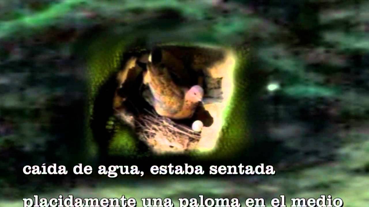 El Significado De La Paz YouTube