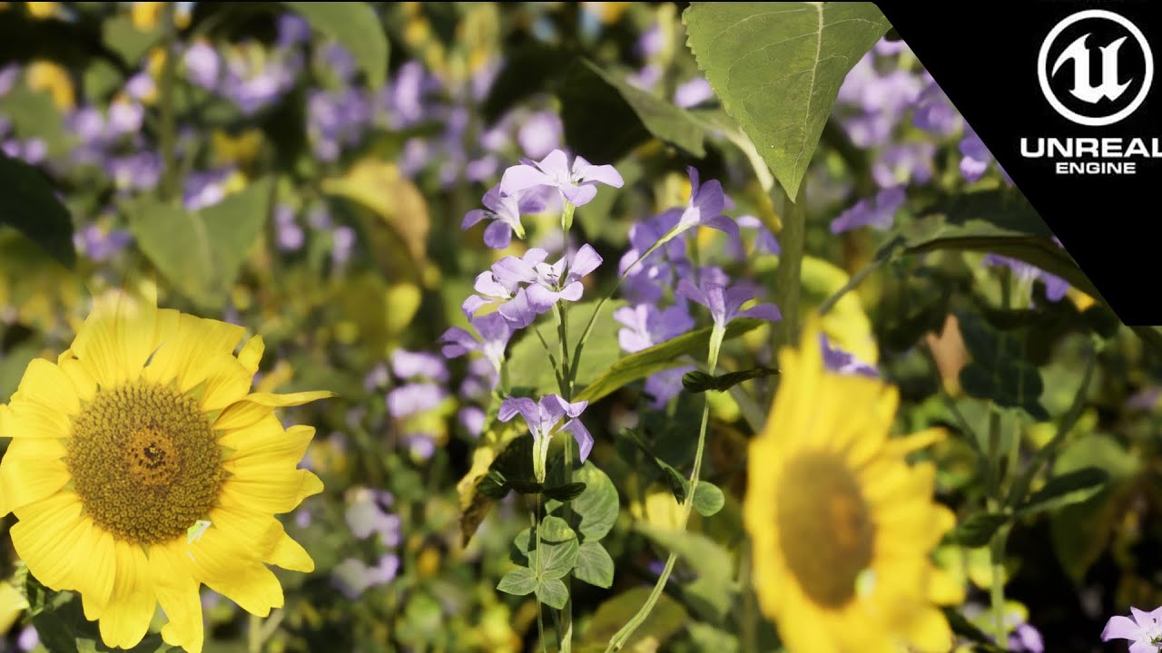 Unreal engine 5 Procedural Content Generation flower - YouTube